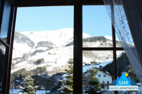 Kerstin 4 by SMR Rauris Apartments - inc Spa and near Gondola